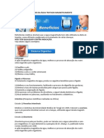 Água Magnetizada Benefícios PDF