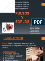 Seminario de Pulso