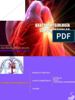 Anatomofisiología Cardiovascular A