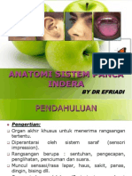 Anatomi Sistem Panca Indra 120202032428 Phpapp02