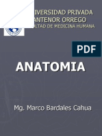 ANATOMIA SEMANA 3.ppt