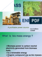 Bio Mass Energy