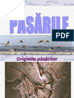 Pasari