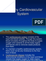 A Healthy Cardiovascular System