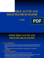 INFECTIILE+ACUTE+ALE+DEGETELOR+SI+MAINII