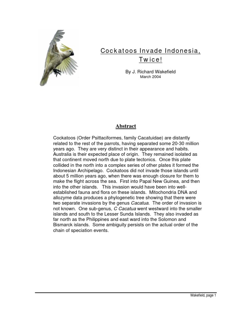 Cockatoos Invade Indonesia | PDF | Parrot | Plate Tectonics