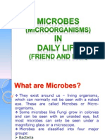 Microbes in Daily Life