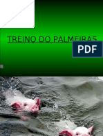 Treino do Palmeiras