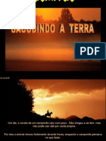 Sacudindo a terra 