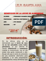 Leche de Almendras