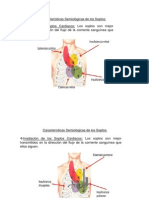 Características Semiológicas de Los Soplos