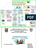 Esquema Divorcios Reforma Lopnna 1