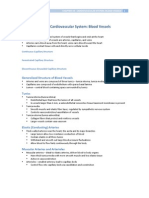 Chapter 19 - The Cardiovascular System: Blood Vessels