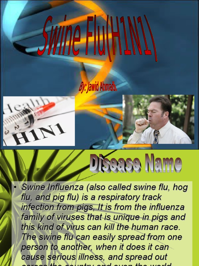 Swine Flu: Risks and Prevention | PDF | Influenza | Influenza A Virus ...