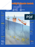 API Deepwater Standards Poster