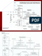 Patofisiologi trauma tubuh manusia