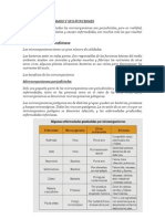 Los Microorganismos y Sus Funciones