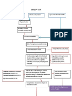 Pathophysiology of Dengue Fever 1