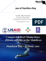 The Case of Hanifaru Bay by Niv Froman