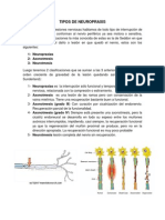 Tipos de neuropráxis y su intervención terapéutica