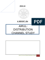 Amul Distribution Channel Study