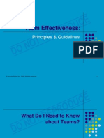 Team Effectiveness:: Principles & Guidelines