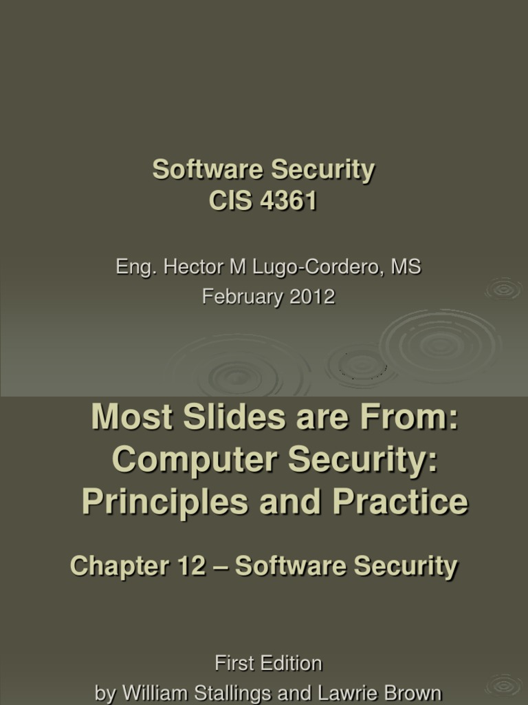 Software Security | PDF | Variable (Computer Science) | Computer Security