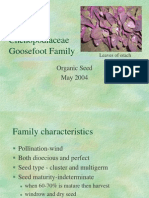 Goosefoot Family Organic Seed Document Overview