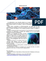 Bio Neuro Emoción