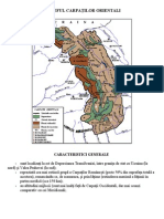 Carpa+úii Orientali