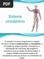 Sistema Circulatório