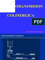 Colinergico Final para Alumnos