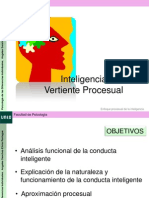inteligencia_procesos_COGNITIVO