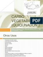 Carbo Vegetabilis (Quiqunadon)