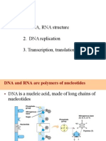 16 BioDNA, Trans