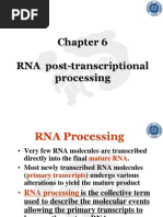 RNA Post-Transcriptional Processing