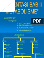 Metabolisme