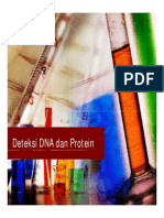 Deteksi DNA Dan Protein