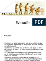 Pruebas Evolutivas