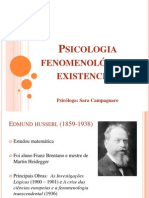 Slidespsicologiafenomenolgico Existencial 121129190326 Phpapp01