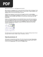 Download Sel by Niko Anugerah Putra SN23036481 doc pdf