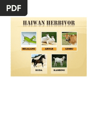 Gambar Haiwan Herbivor Karnivor Omnivor Pdf