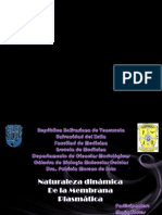 Naturaleza Dinamica de La Membrana Plasmatica