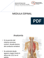 Medula Espinal Sesion