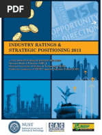 NBP StrategicPos-2013