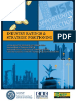 NBP StrategicPos-2013