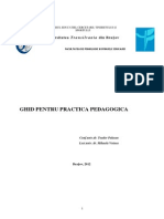 Ghid Practica Pedagogica