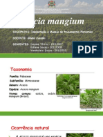 Acacia Manguim-madeira Do Futuro PDF