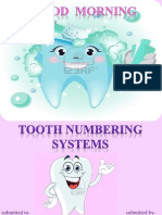 Tooth Numbering Systems