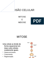 BIOLOGIA - Divisão Celular